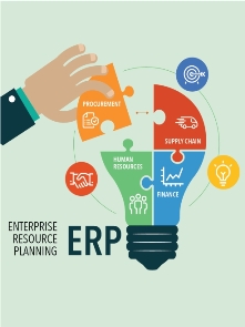 erp solution